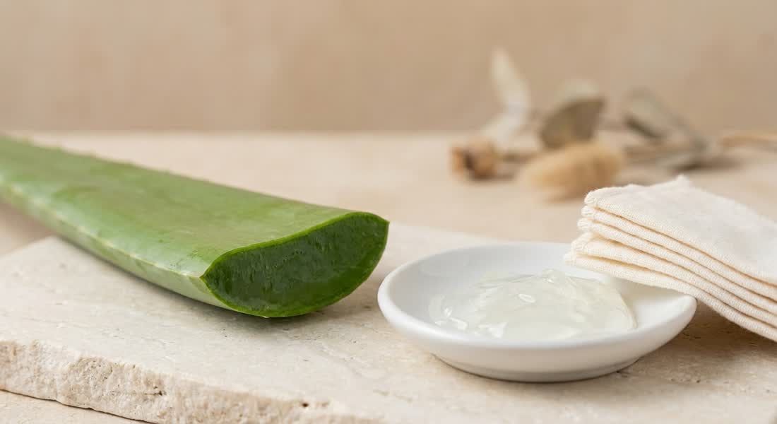 A cut aloe leaf beside a dish of clear gel and cotton pads